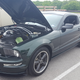 Bullett Mustang